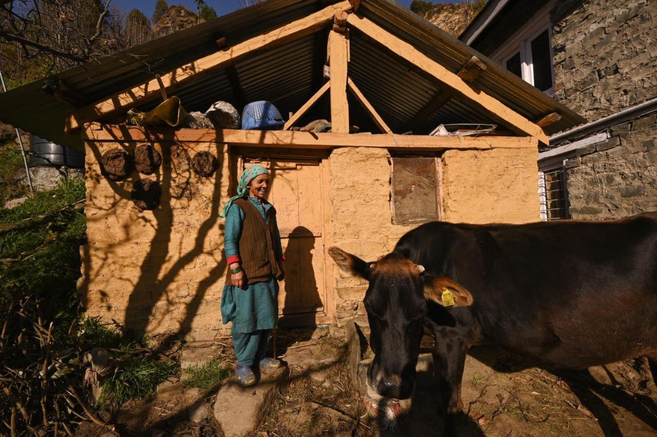 Nagar  Zostel Dobhi, Manali 호스텔 외부 사진