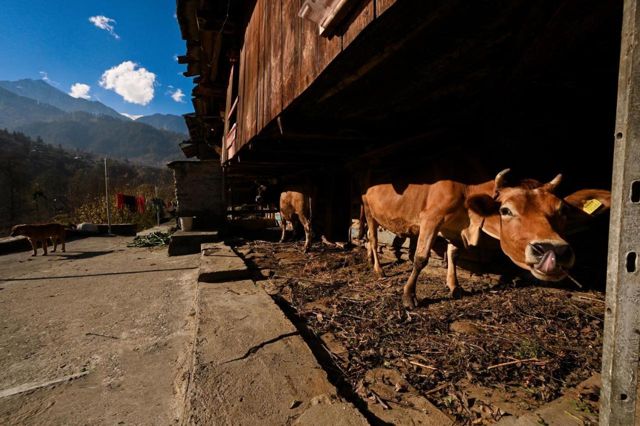 Nagar  Zostel Dobhi, Manali 호스텔 외부 사진