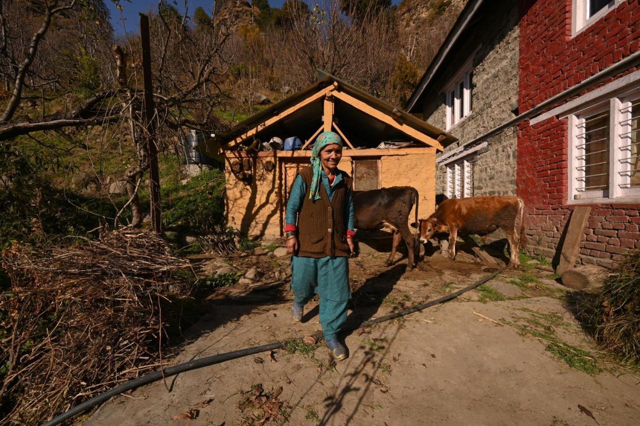 Nagar  Zostel Dobhi, Manali 호스텔 외부 사진