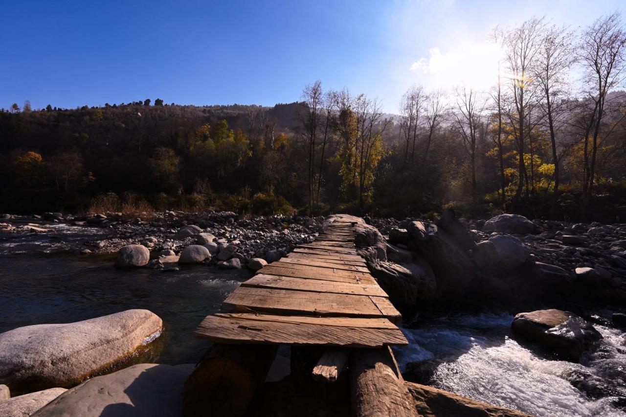 Nagar  Zostel Dobhi, Manali 호스텔 외부 사진