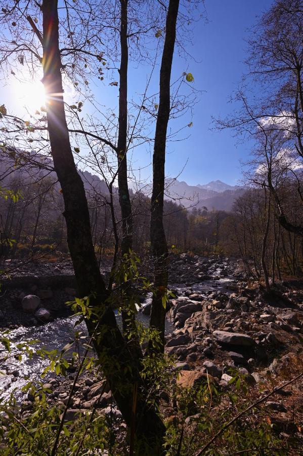 Nagar  Zostel Dobhi, Manali 호스텔 외부 사진